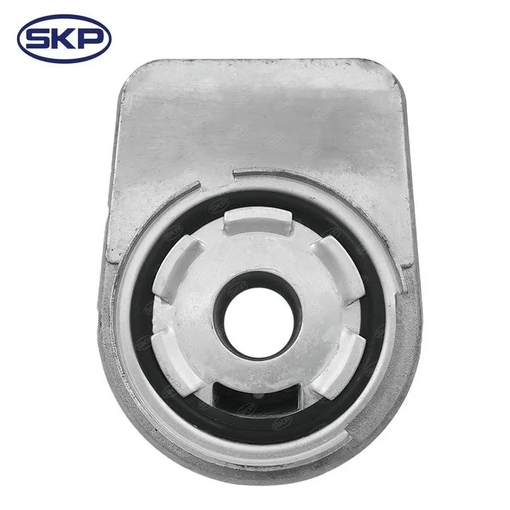sk918431.jpg