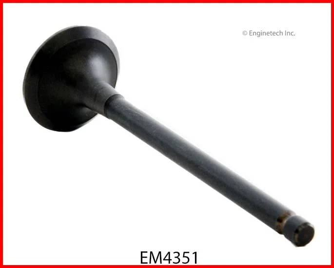 EM4351_1.jpg
