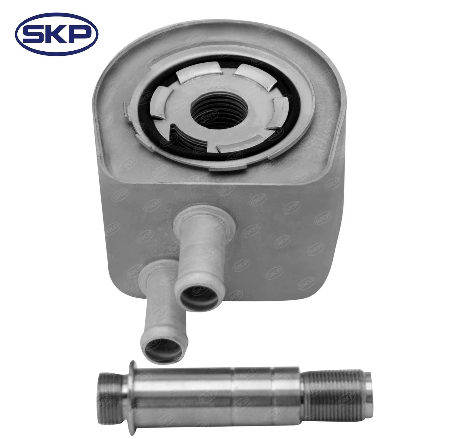 sk918110.jpg