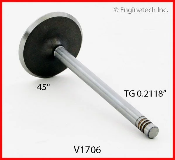 V1706_1.jpg