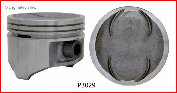 P3029(8).jpg