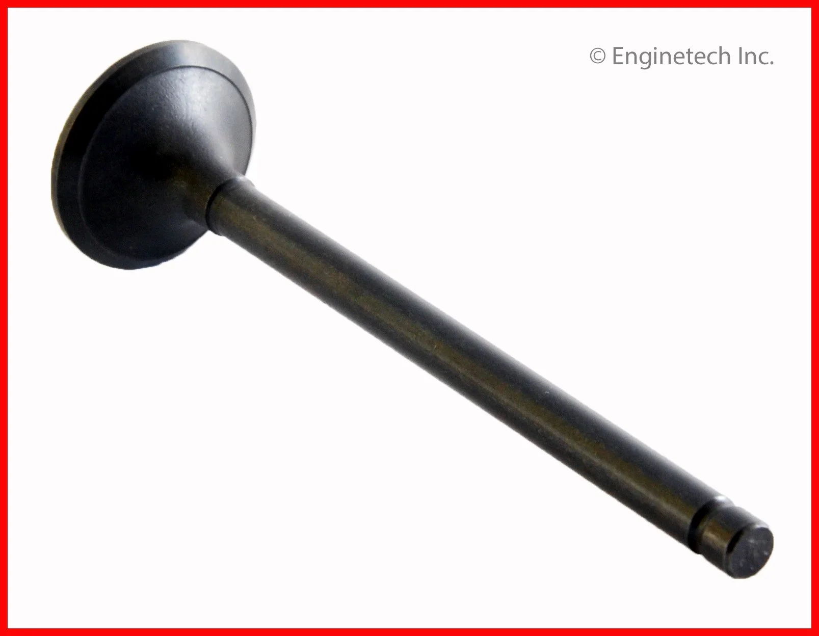 Exhaust Valve  (Enginetech  EM2493)  88-01
