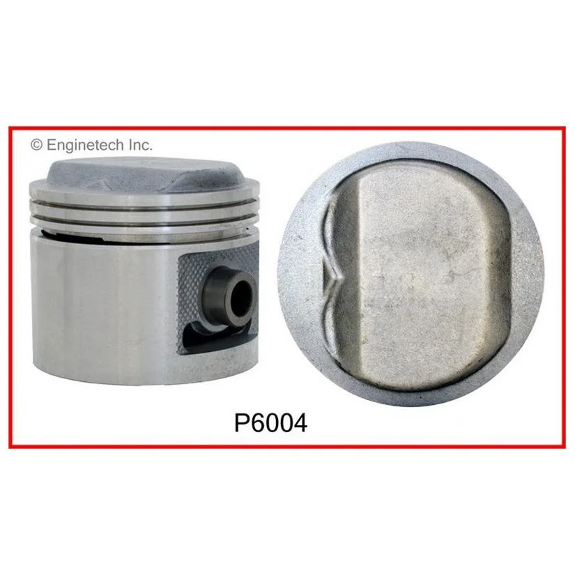 P6004(8).jpg