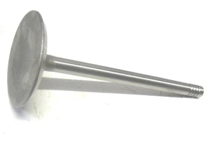 10-1170.jpg