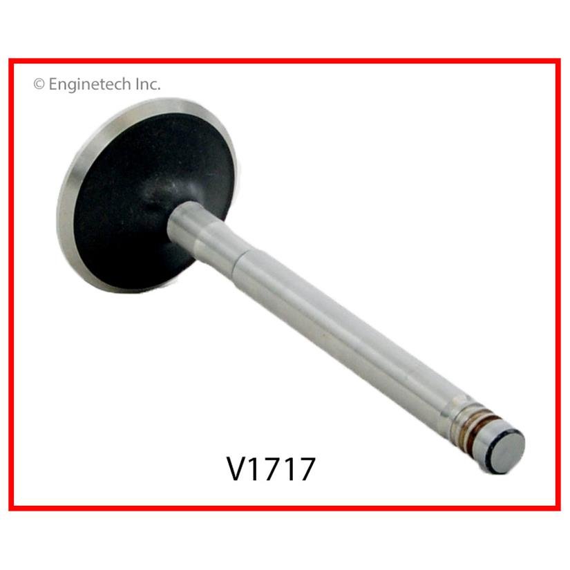 V1717_1.jpg
