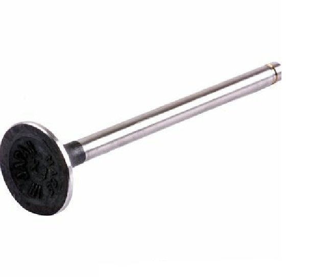 Exhaust Valve  (ITM  RX35030)  86-89
