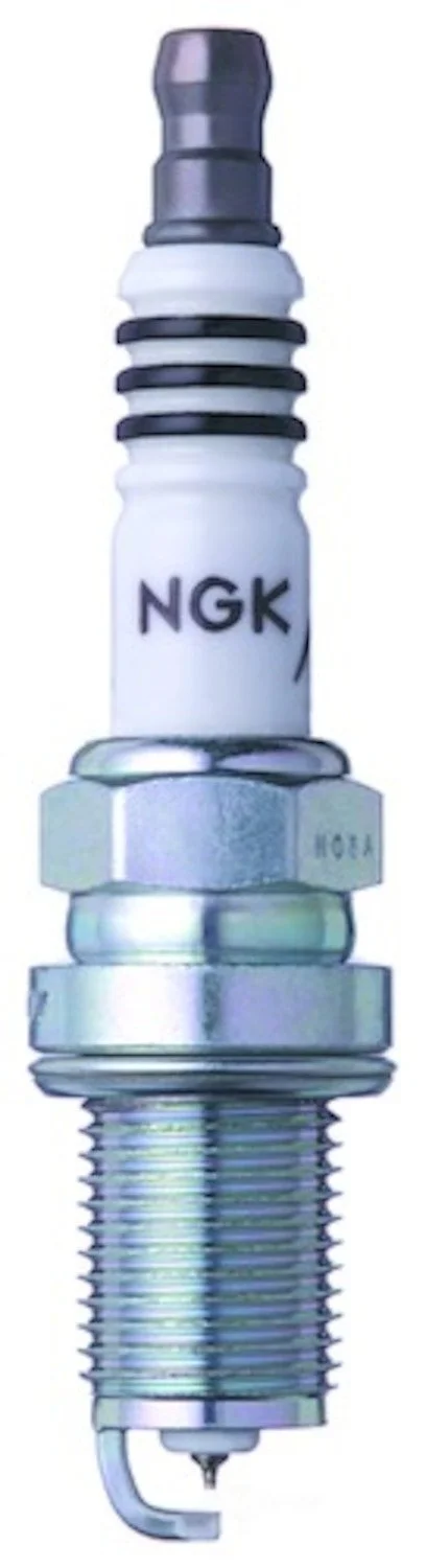 Spark Plug - Iridium  (NGK  4919)  86-91