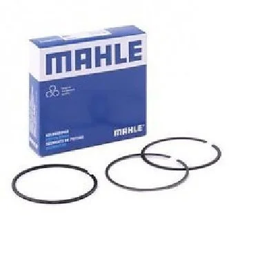 Mahle Rings.jpg