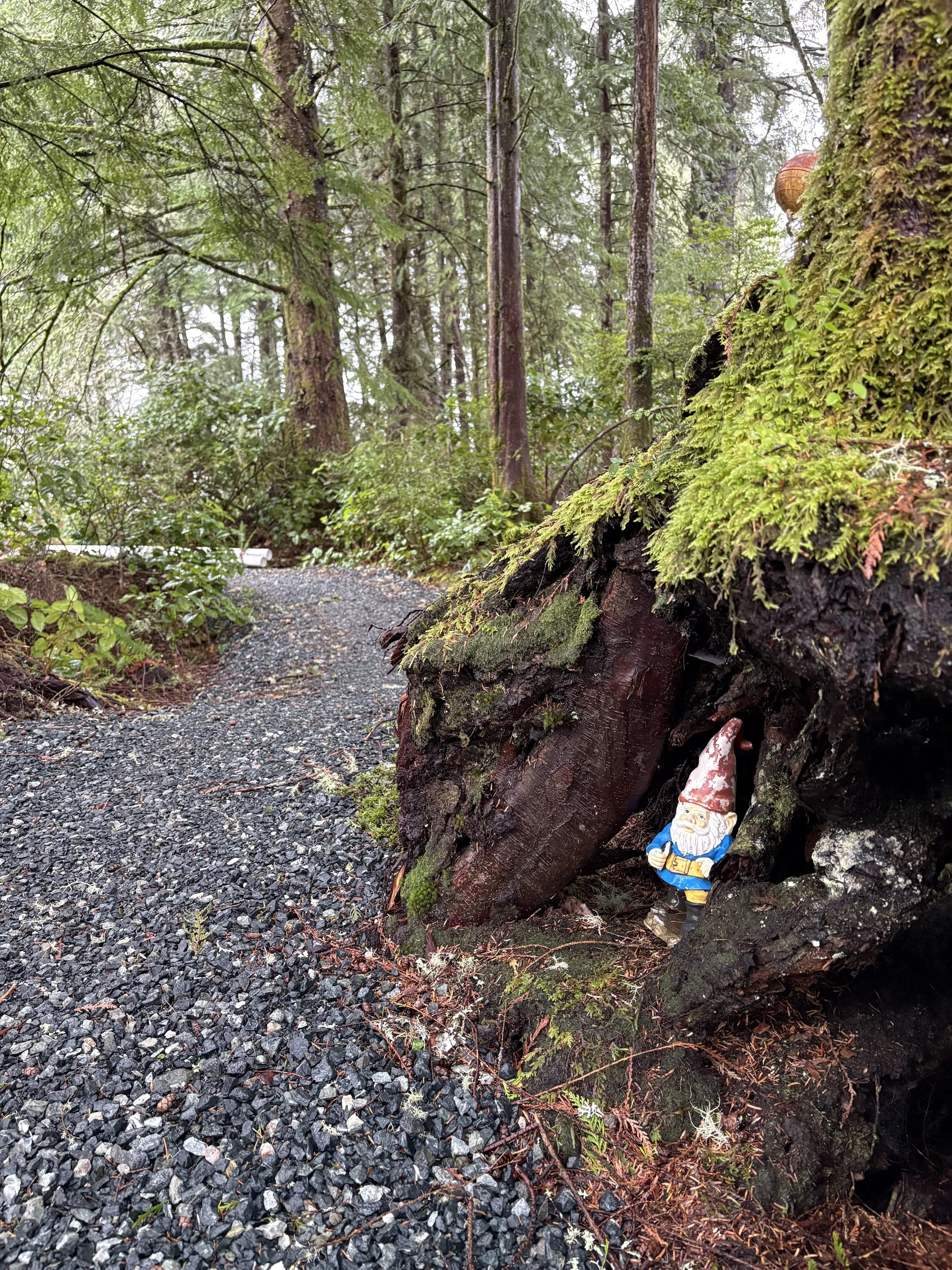 A forest scene with a large fallen moss-covered log on a gravel trail. There is a garden gnome figure, dressed as a dwarf, standing at the base of the log. The dense background features tall trees and green foliage.