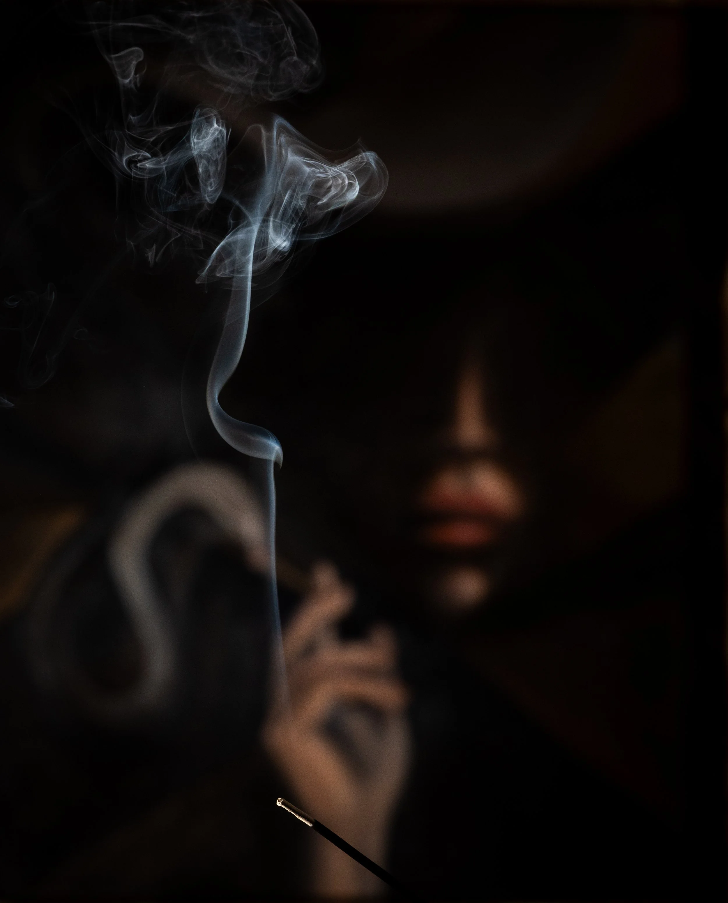 J Michael Bond Gallery-6838.jpg