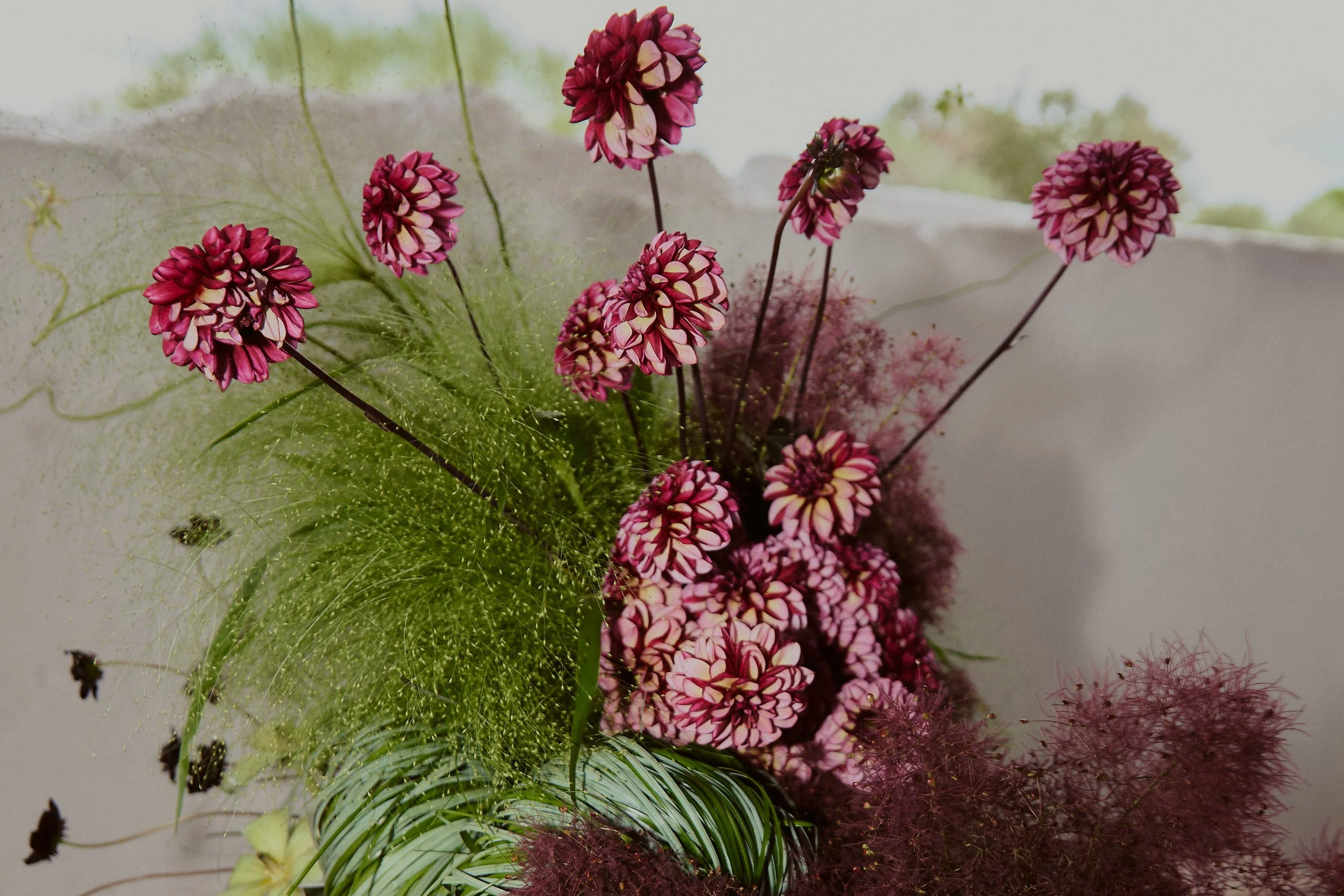 Petals of promise 8.jpg