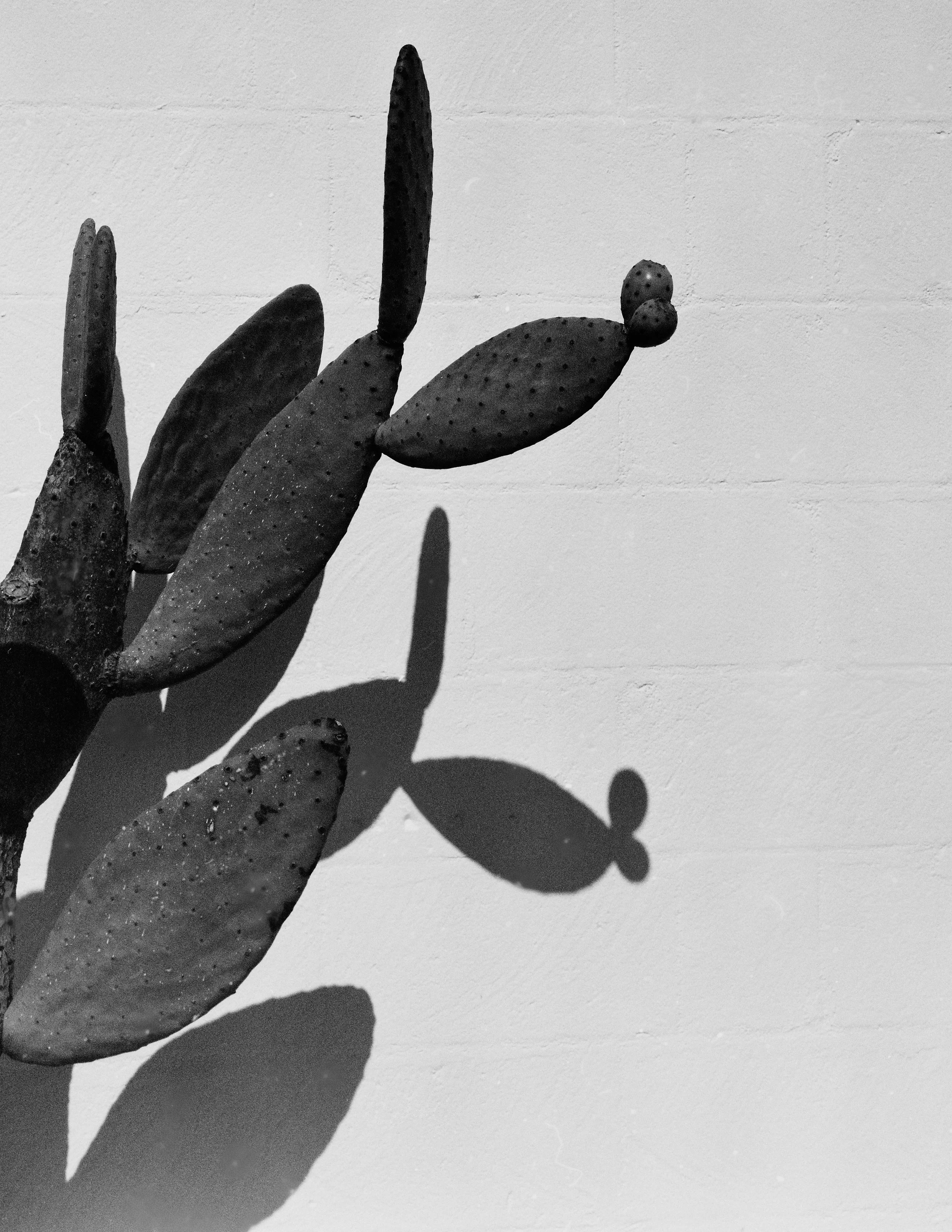 The Backdrop 8 1.jpg