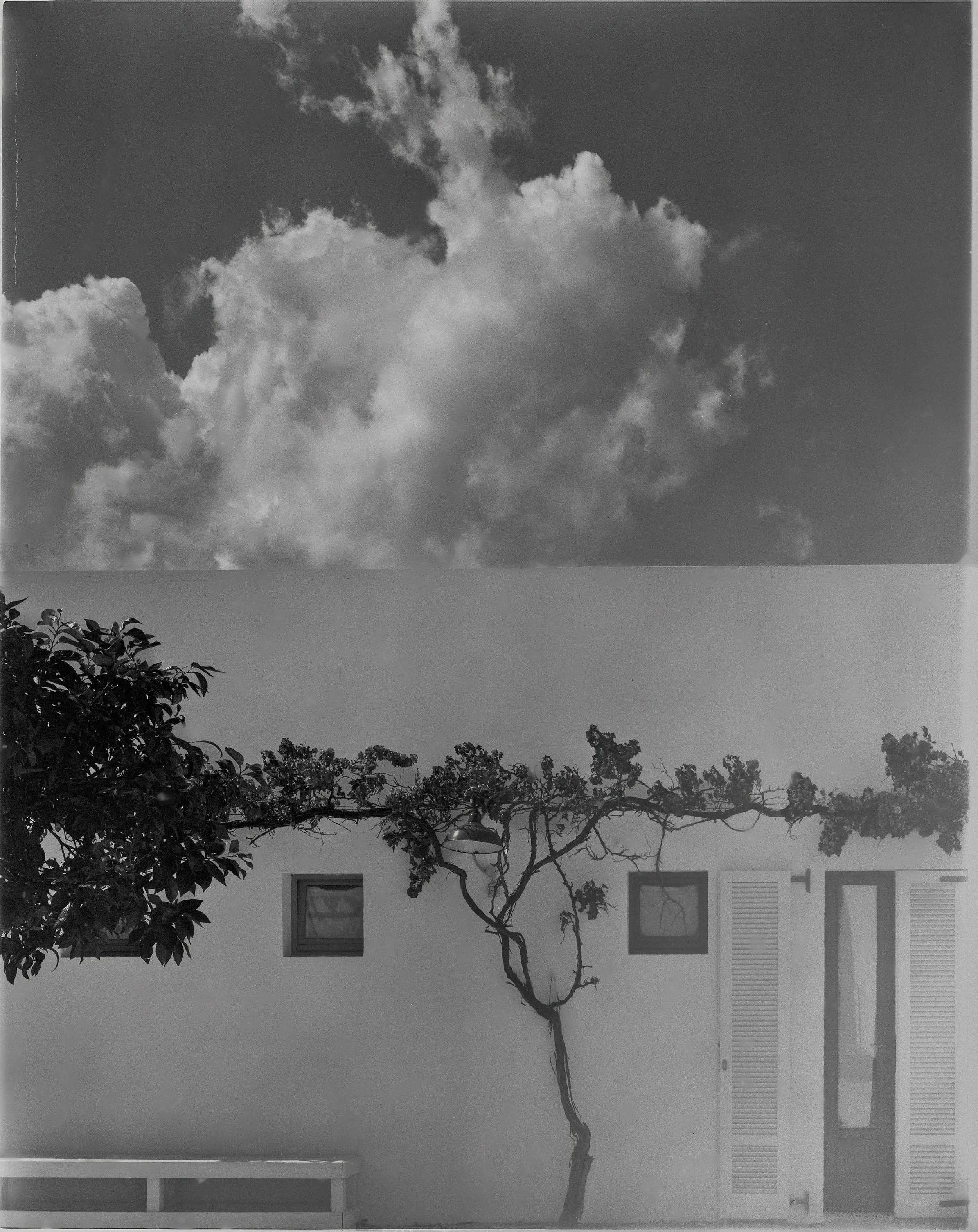 The Backdrop 6 1.jpg