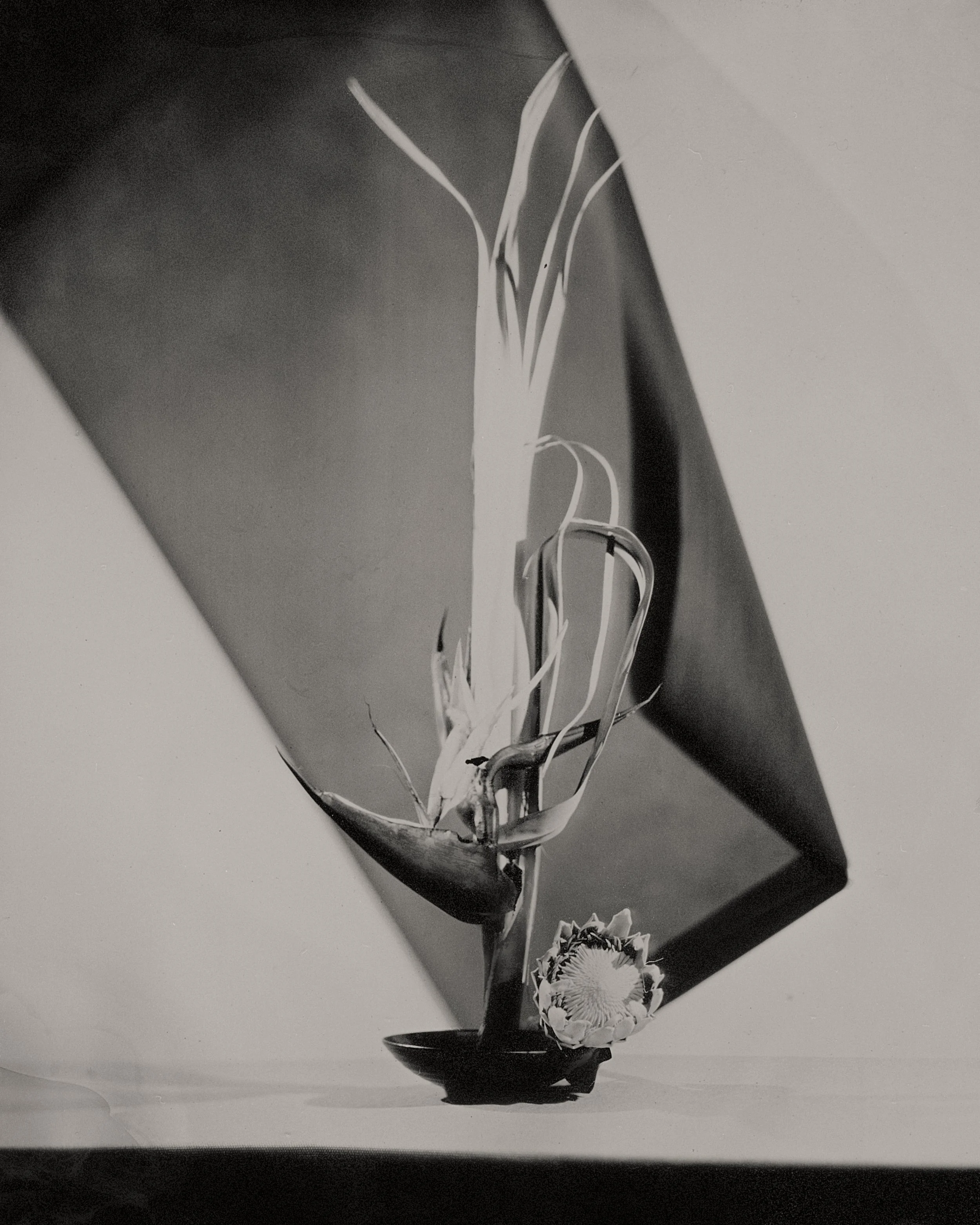 Amiel- Flower art (5) 1.JPG