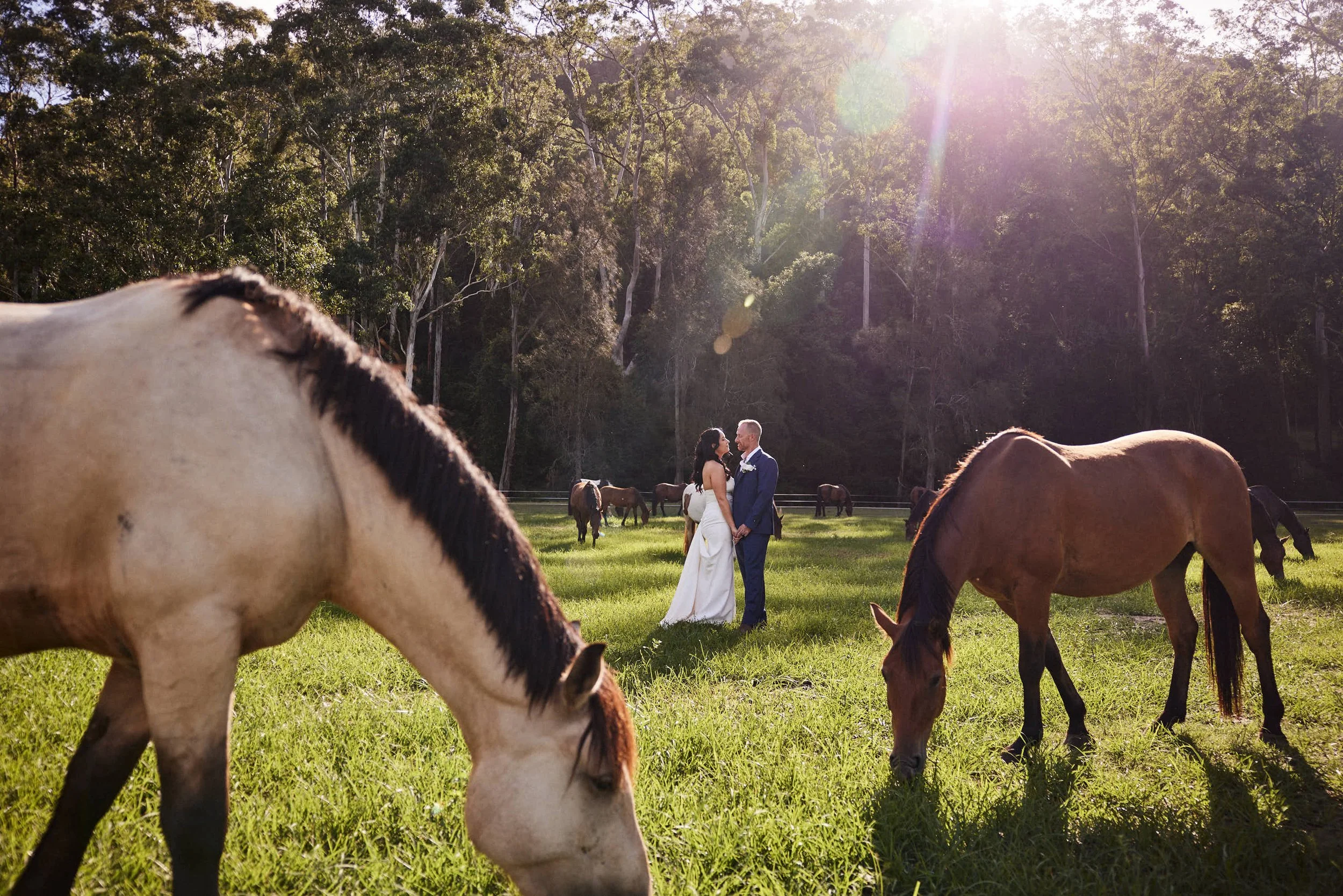 Horses on the run, and big family togetherness | Kate &amp; Clint, Glenworth Valley 