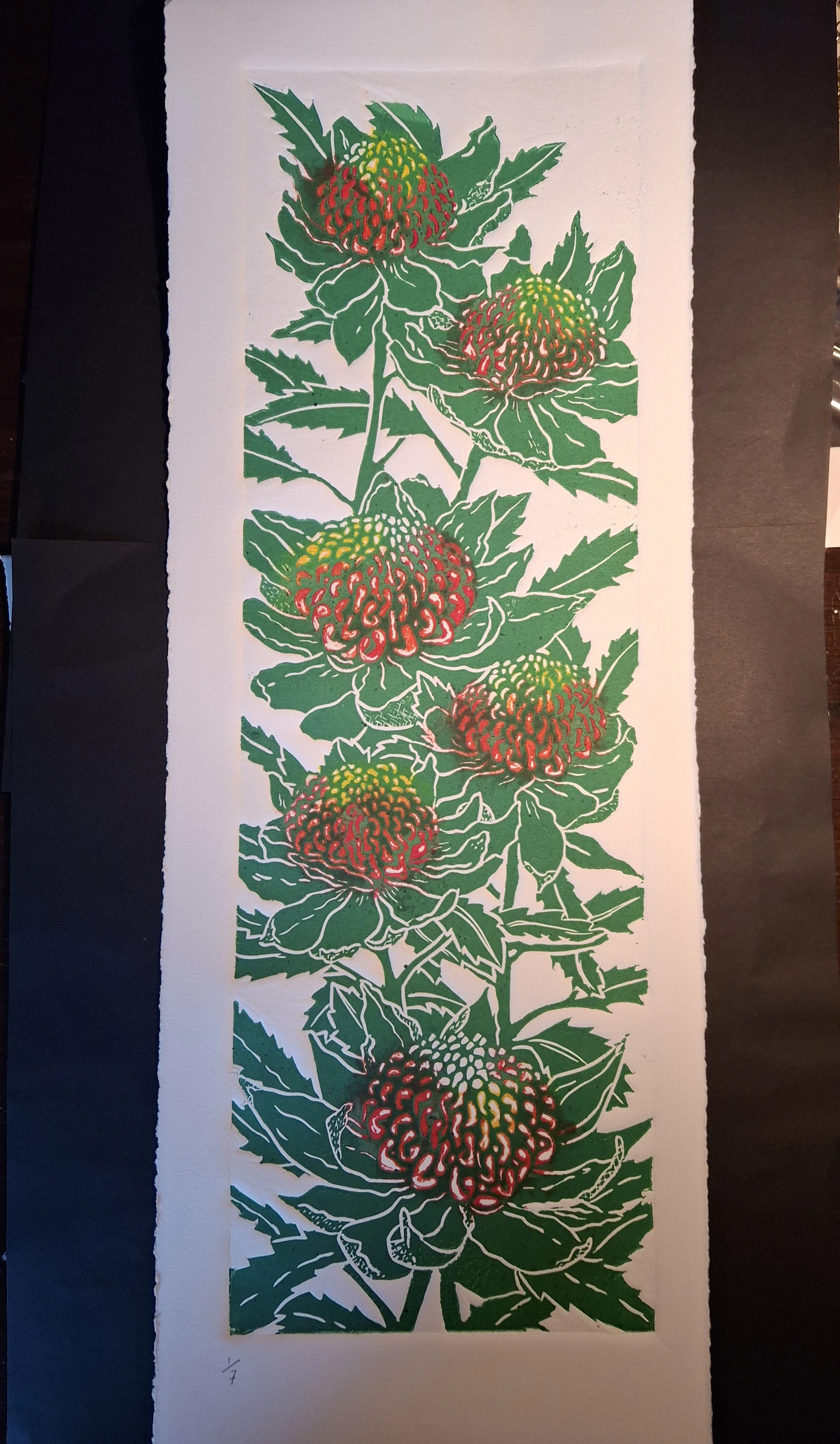 Artist: Jennifer Carter | Title: Waratahs | Medium: Intaglio lino print | Size (W x H): 37 x 74 cm
