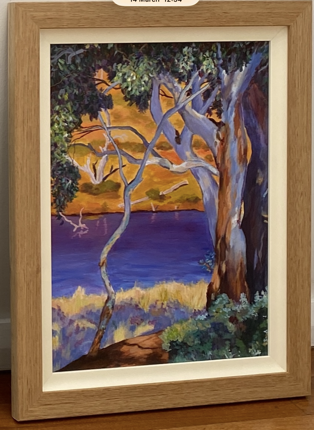 Artist: Gaye Jennings | Title: Magic | Medium: Oil on Canvas | Size (W x H): 30 x 40 cm