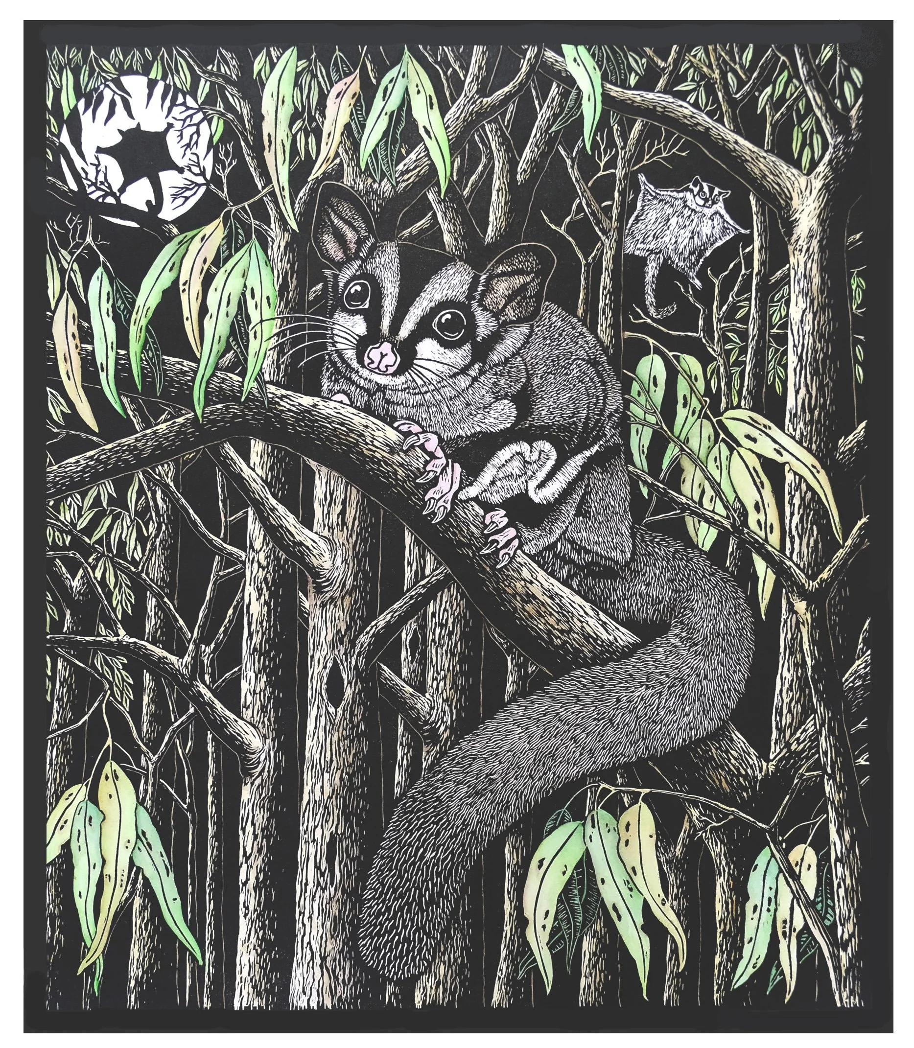 Artist: Catherine Garbutt | Title: Sugar Gliders | Medium: Hand Coloured Lino Print | Size (W x H): 58 x 66 cm