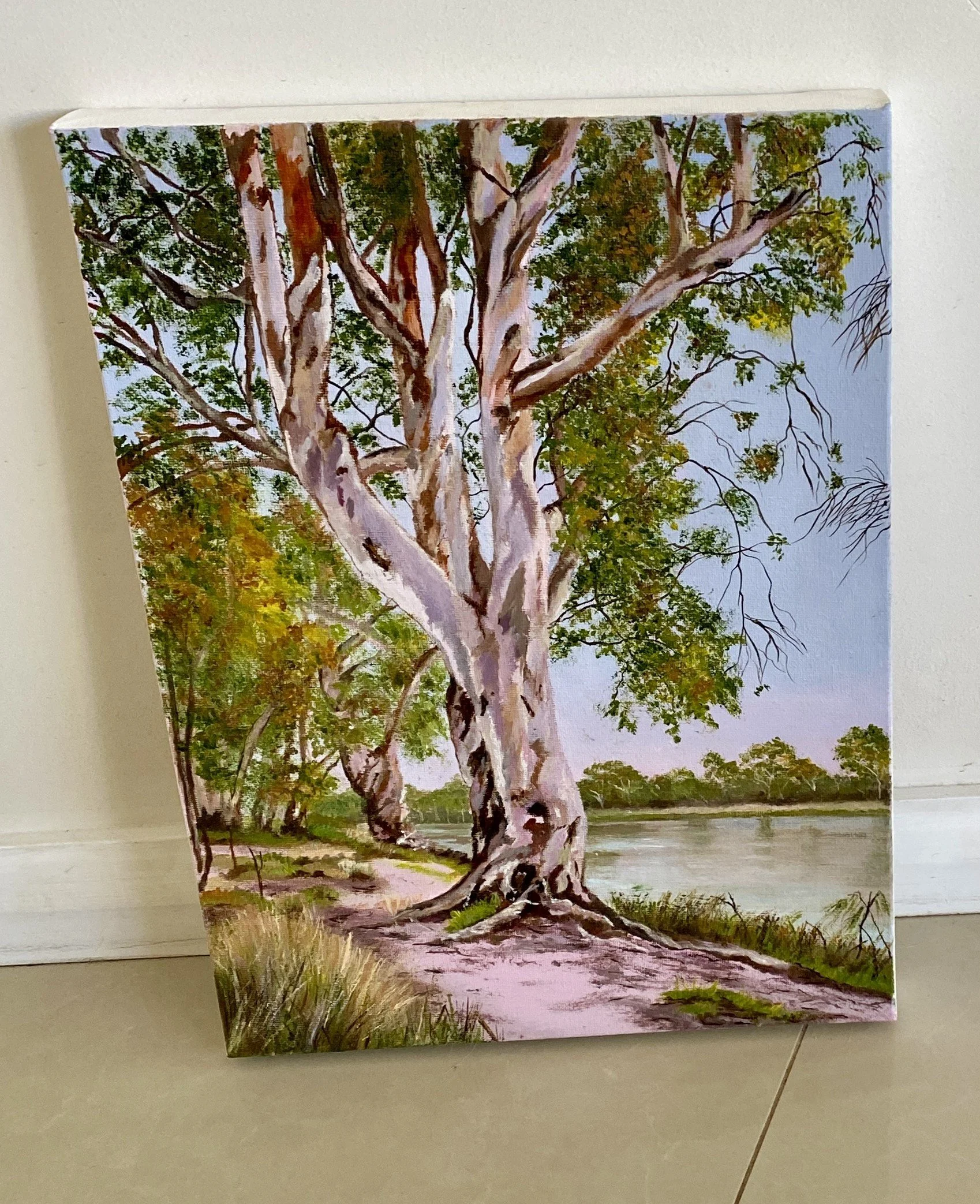 Artist: Gaye Jennings | Title: River Gums | Medium: Oil on Canvas | Size (W x H): 30 x 40 cm