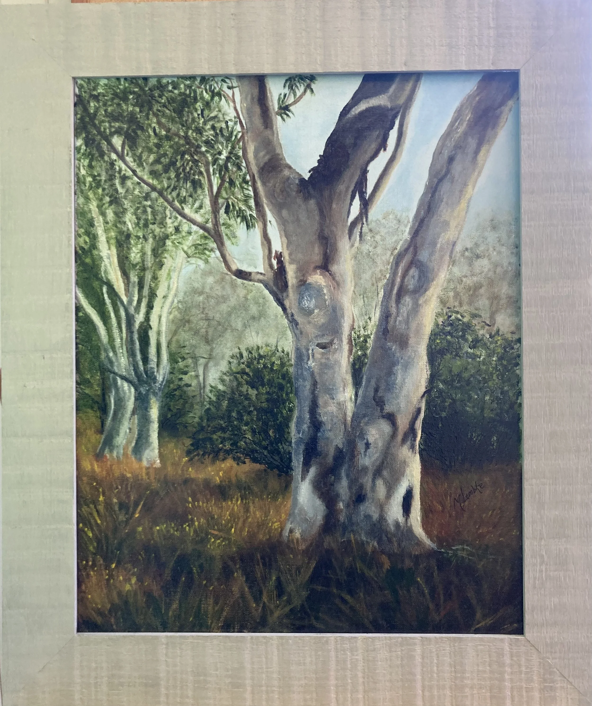 Artist: Maureen Lembke | Title: Spotted Gum Early Morning | Medium: Acrylic | Size (W x H): 52 x 63 cm