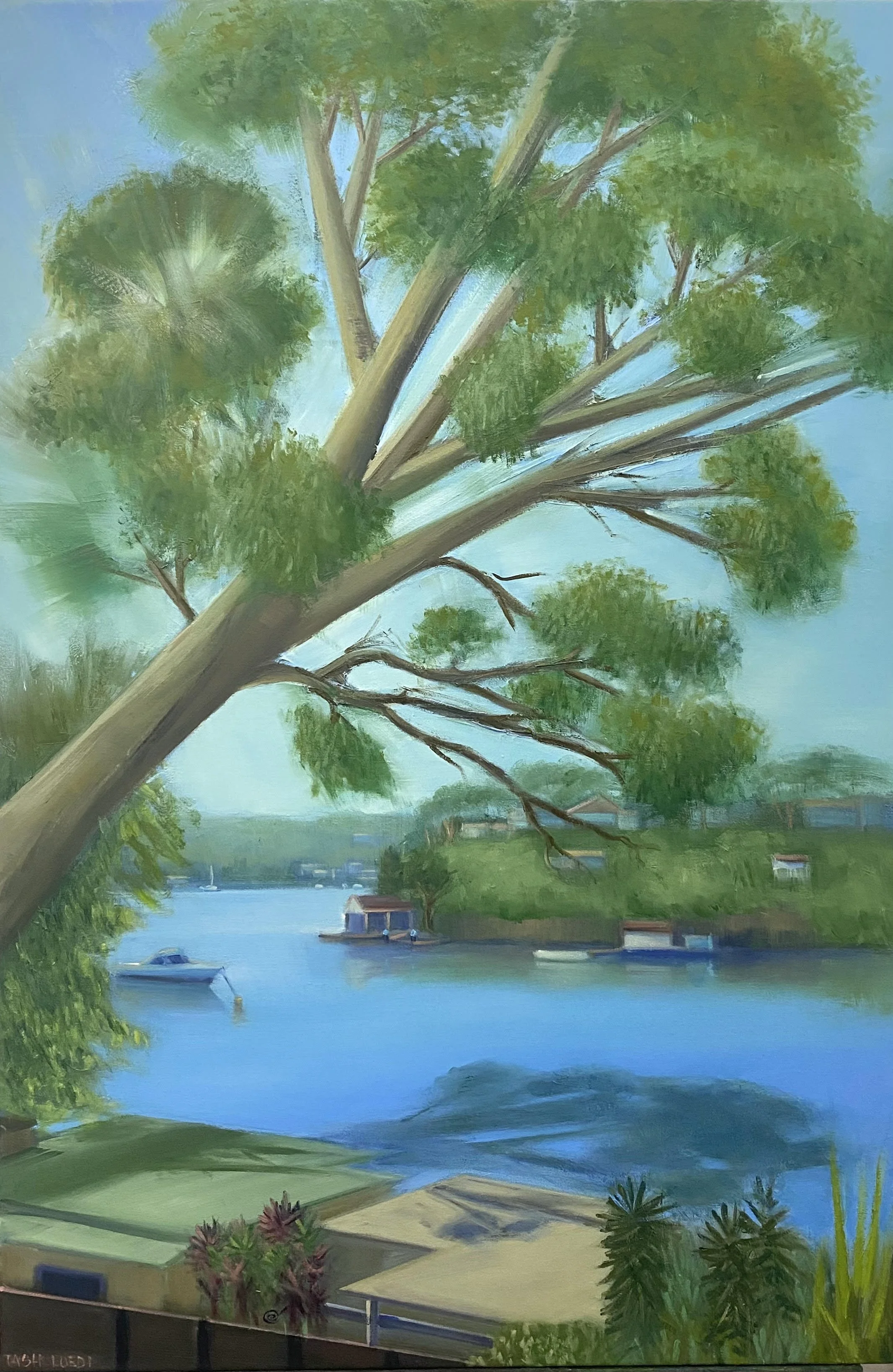 Artist: Tash Luedi | Title: Nestled, Oyster Bay | Medium: Oil | Size (W x H): 63 x 93 cm