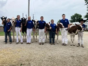 Group of eight young people in blue shirts and white pants standing outdoors with cows on leashes.