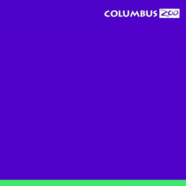 ezgif.com-video-to-gif+(2).gif