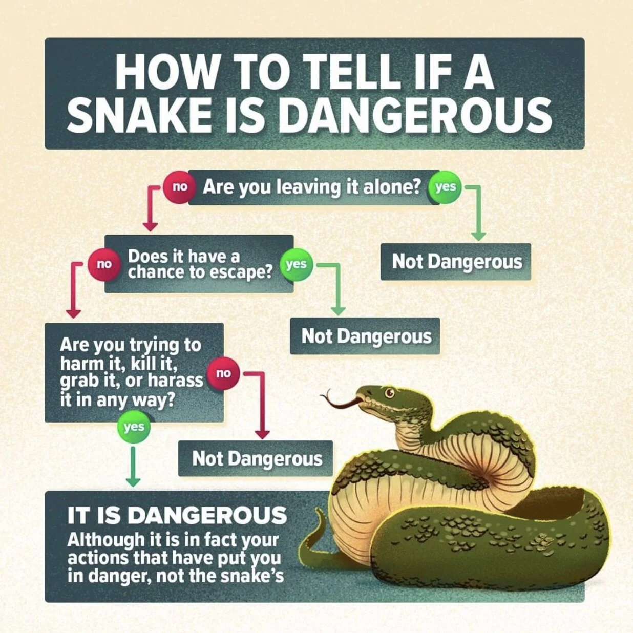 Snake_square.jpg