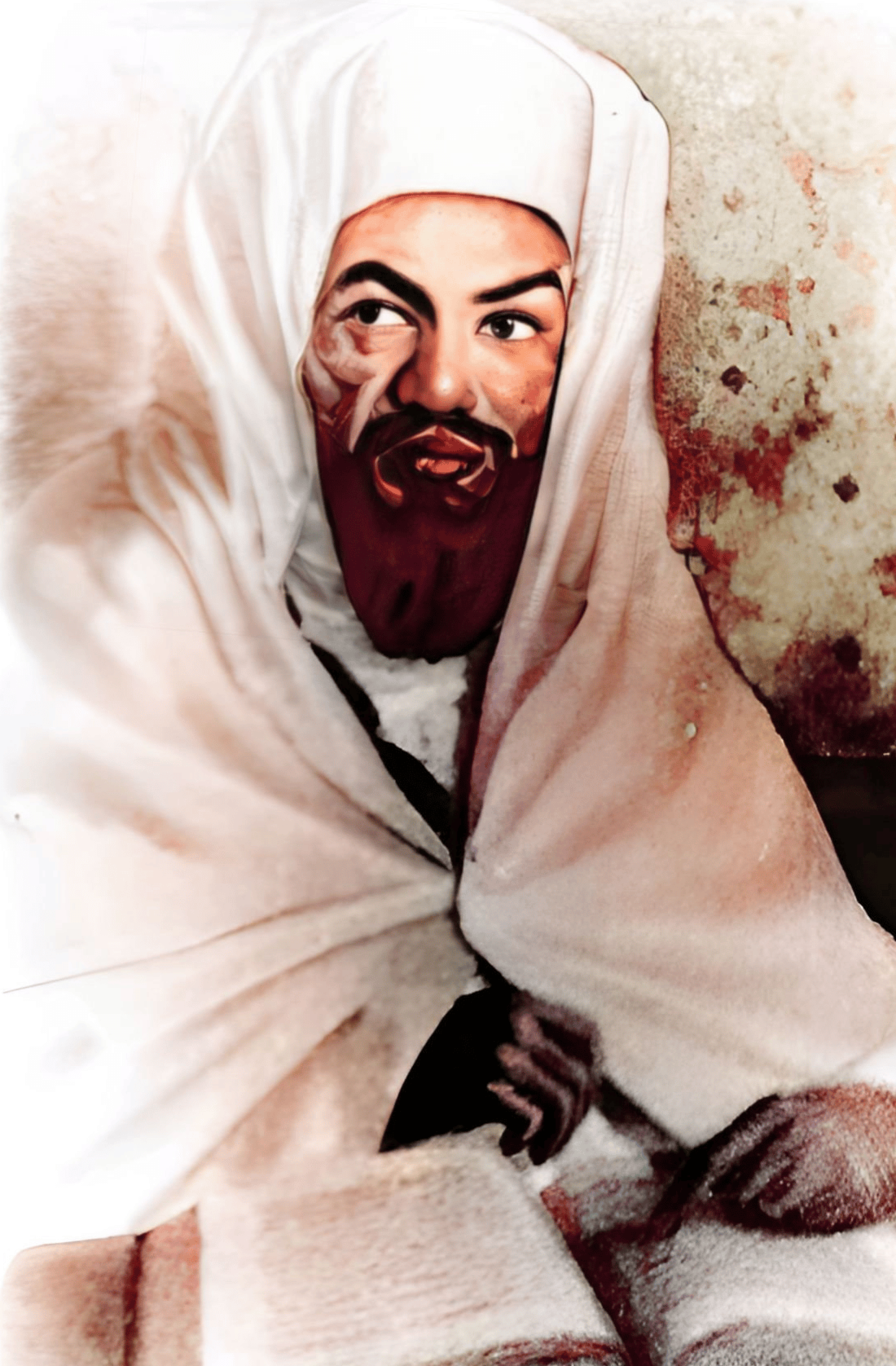 The Hidden Sun: A Seeker's Manual on Recognizing the Shaykh of the Age