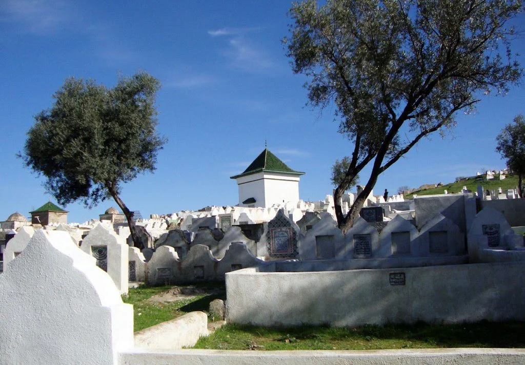 View from within the necropolis outside Bāb al-Futūḥ, Fez, showing the whitewashed qubba of Mawlāy ʿAbd al-ʿAzīz al-Dabbāgh with its green pyramidal roof rising above densely packed white graves, flanked by two olive trees under a clear blue sky.