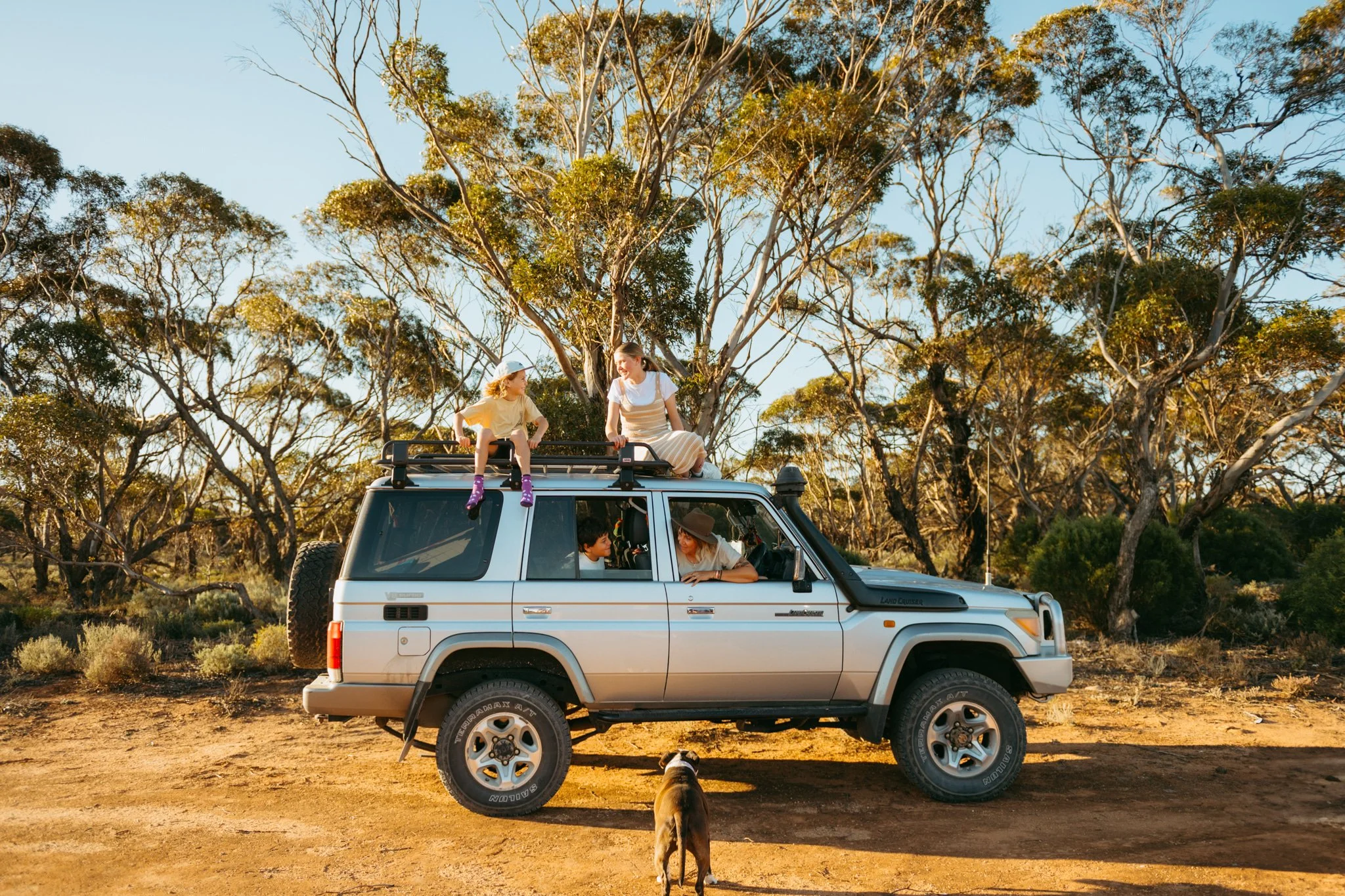 Sunny day with a silver Land Cruiser parked on dirt with four people enjoying the outdoors, two on the roof and two inside, in a forested area with sparse trees.