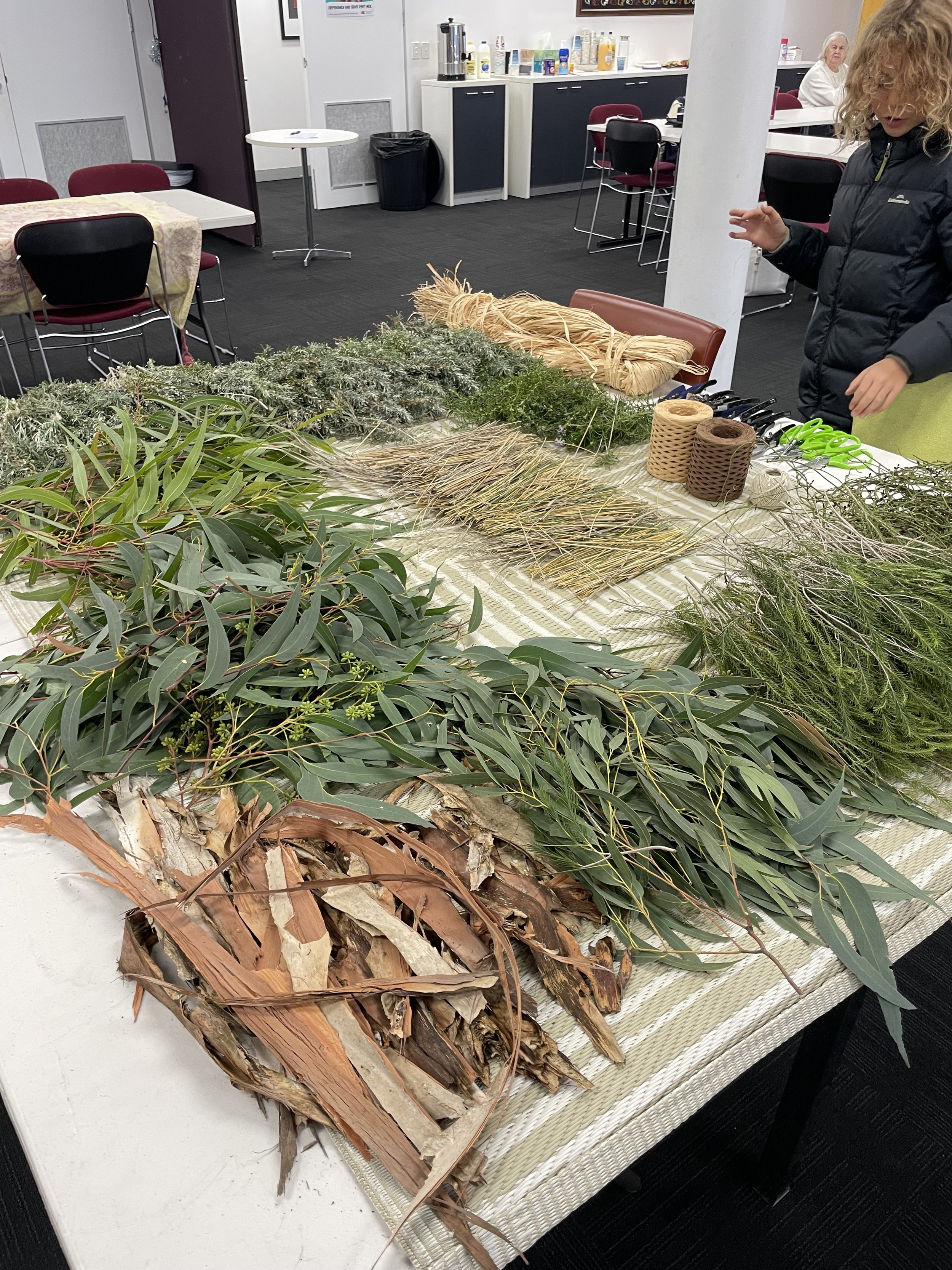 Bush Medicine Workshop Group Gatherings (First Nation Peoples Only)