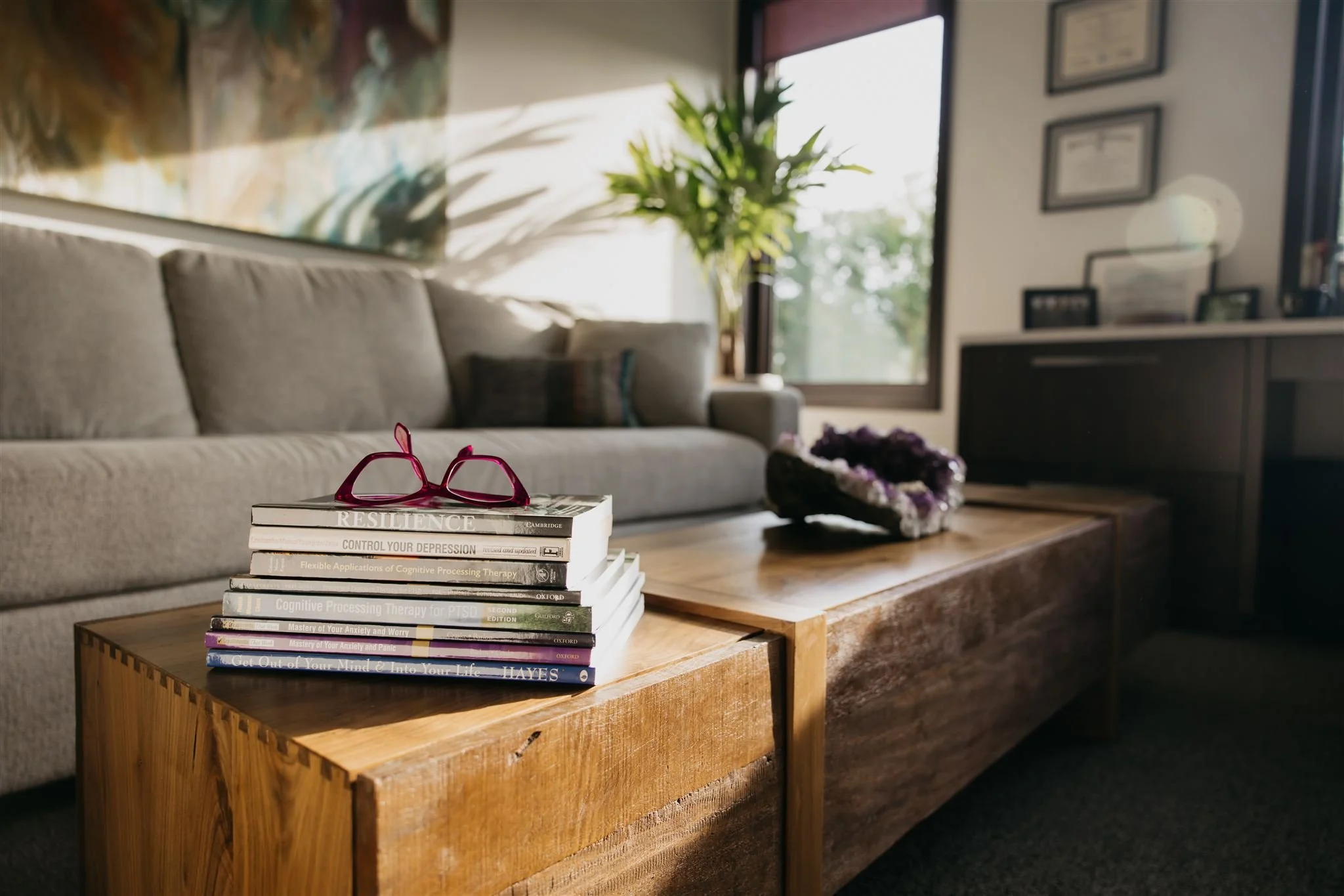 Living room with a gray couch, a wooden coffee table with a stack of books and glasses on top, a large window with greenery outside, and framed certificates on the wall.