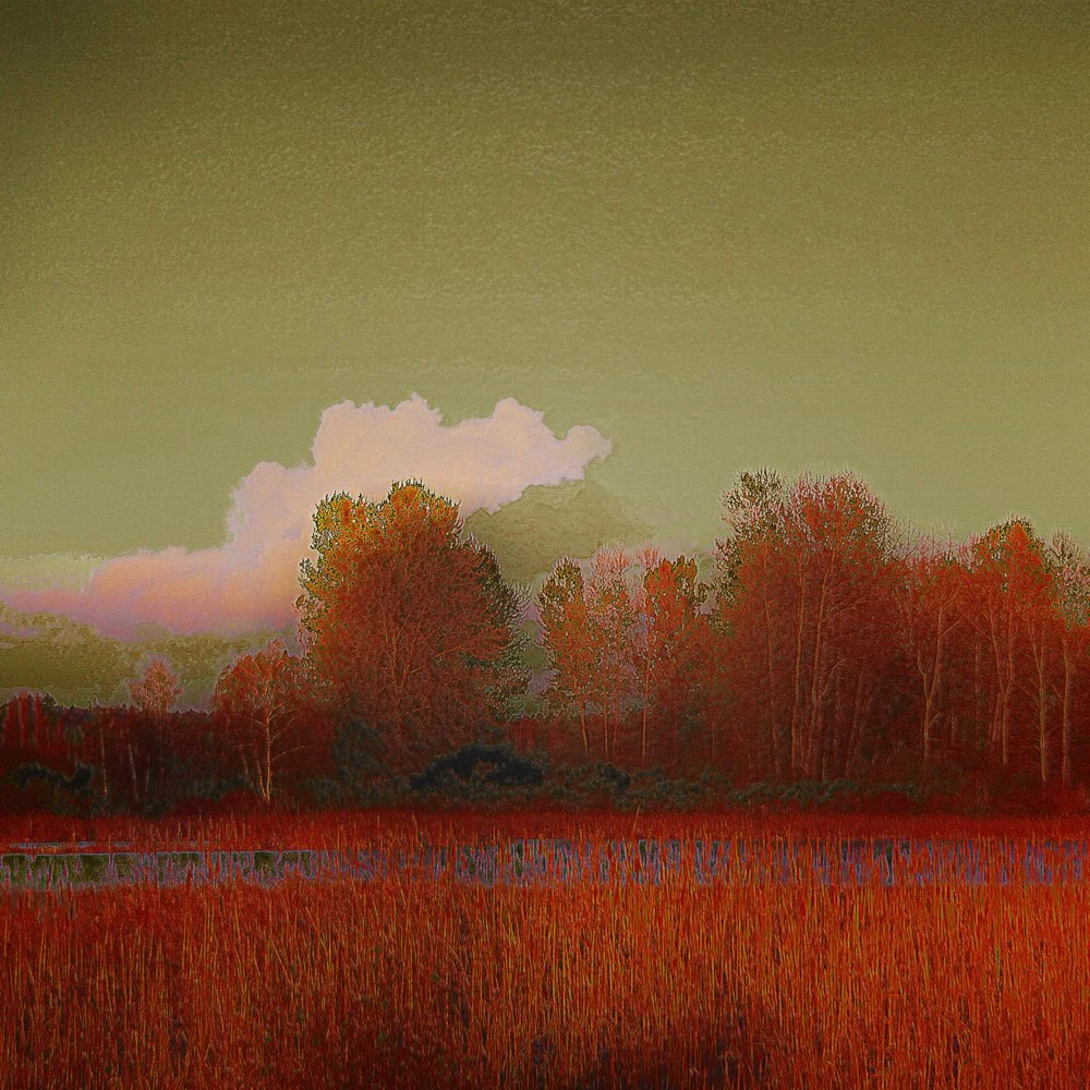 Landscape With Clouds