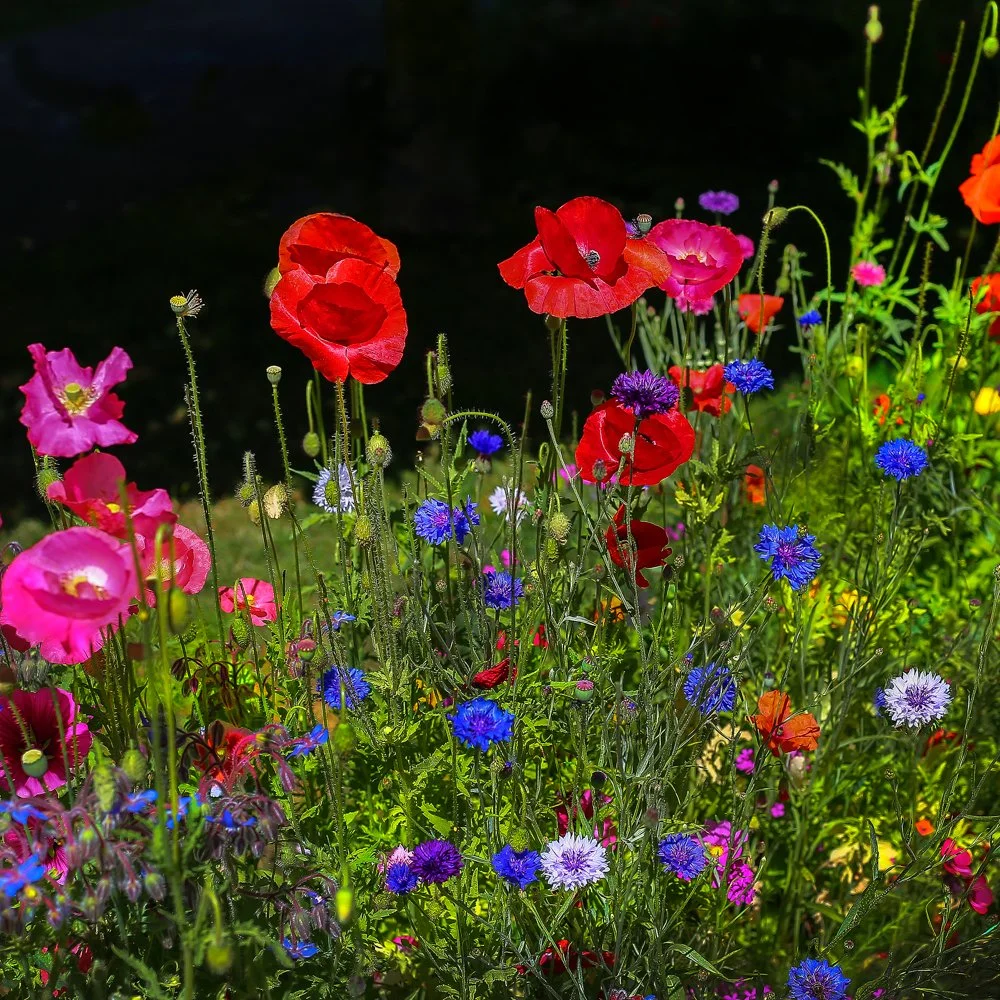 Spring To Keep