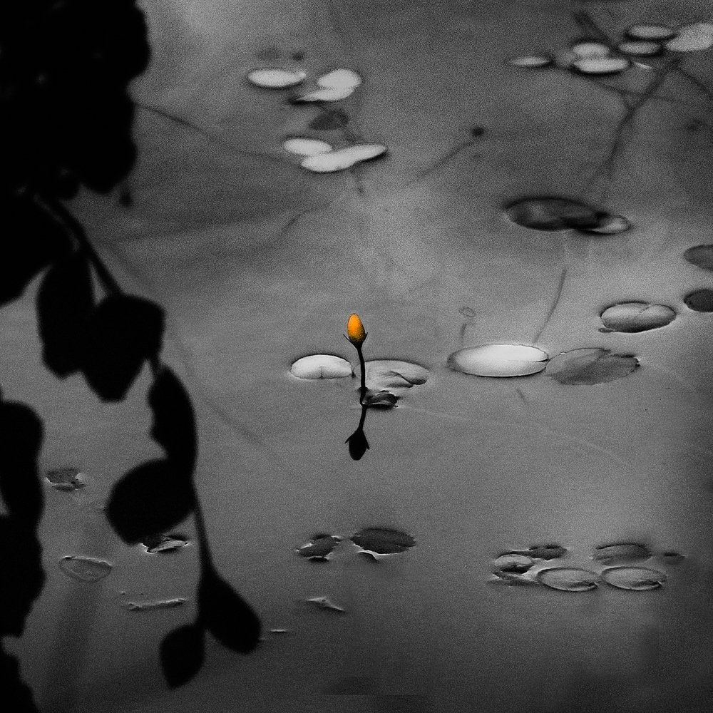 Solitude