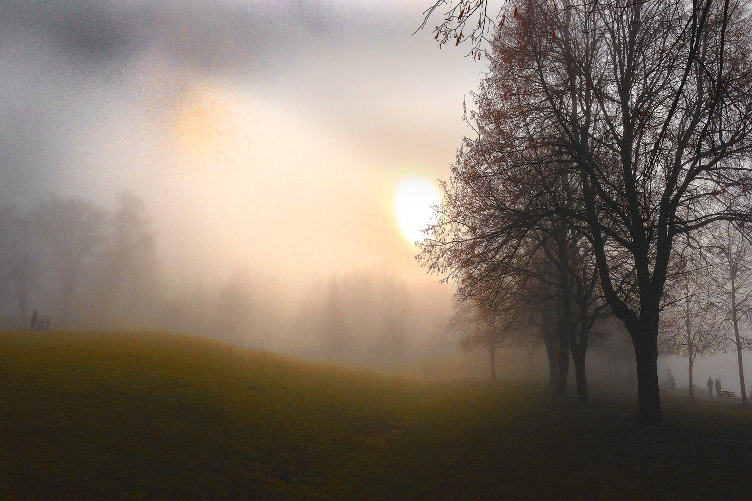 Morning Fog