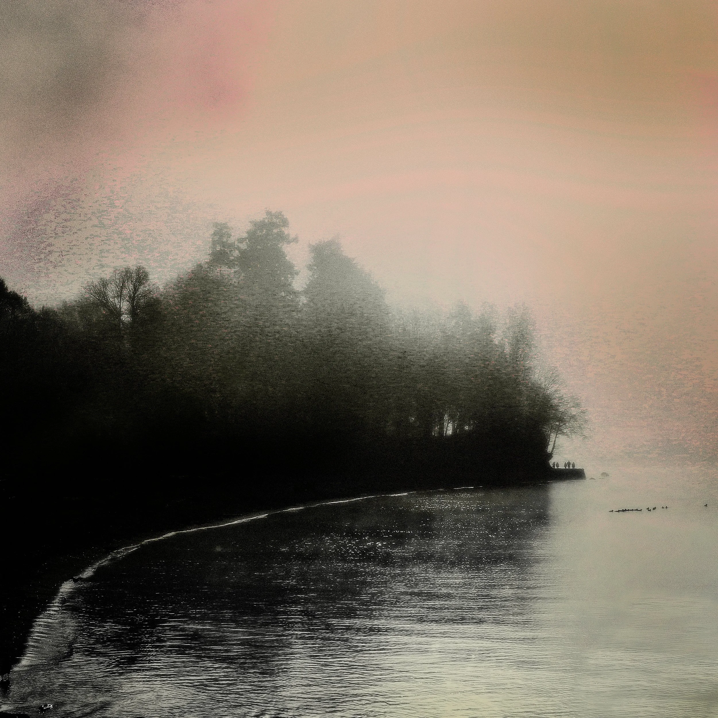 January Fog