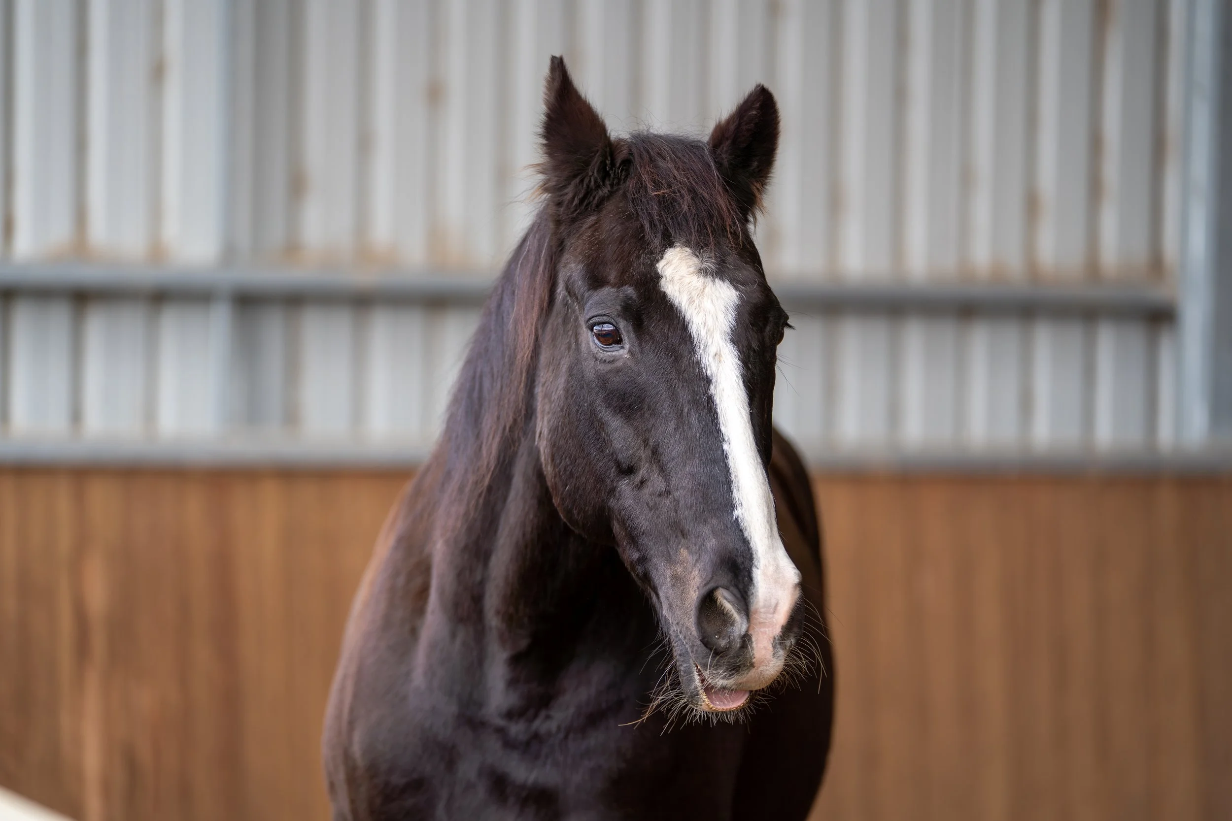 EQ Leaders 29 05 25 -05.jpg