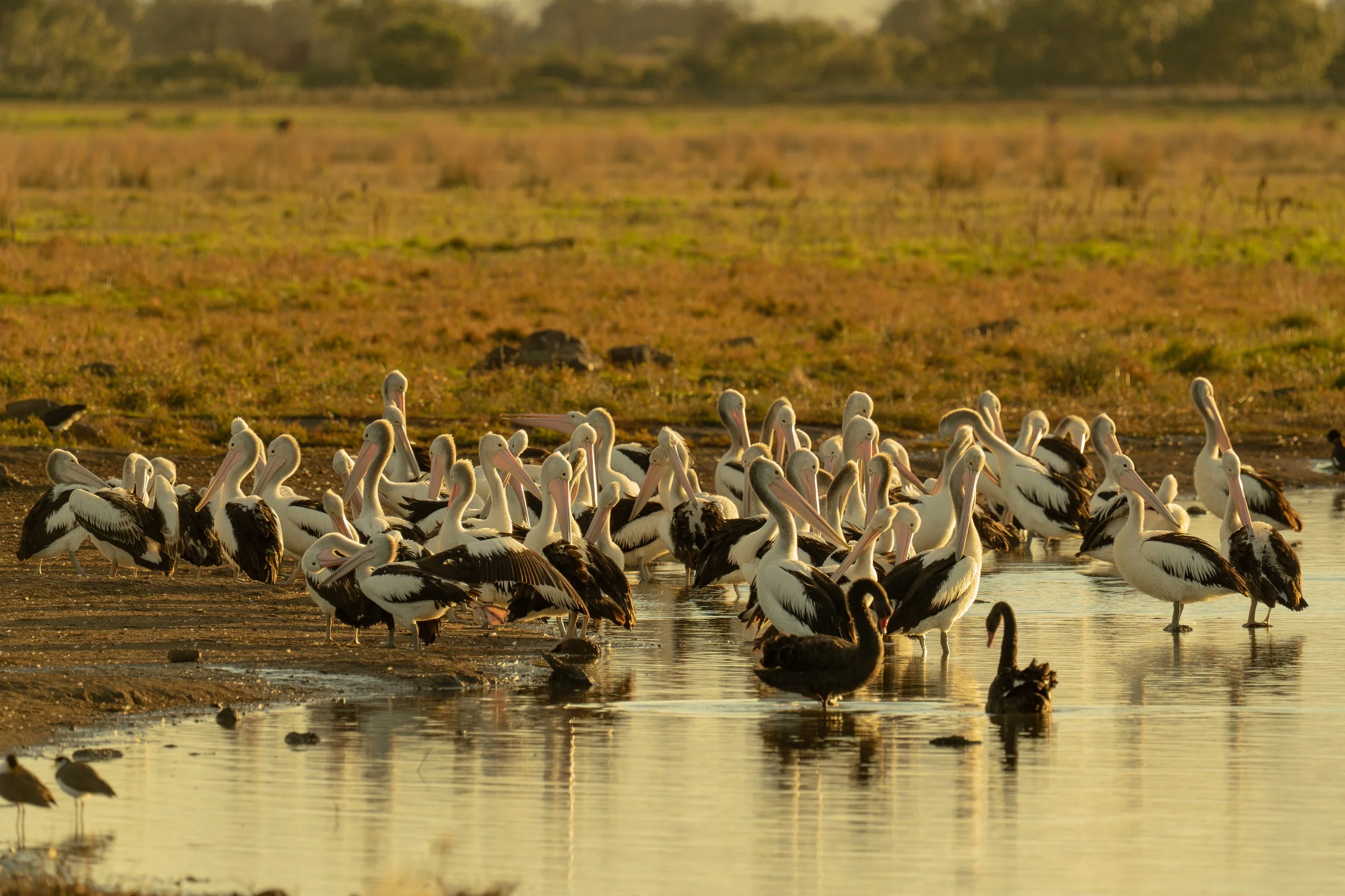 WTP 07 05 25 -05.jpg