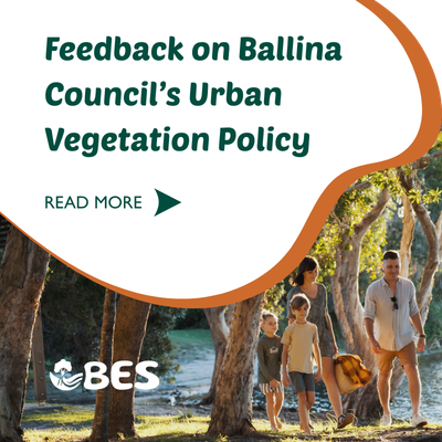 Growing a Greener Future: BES Feedback on the Ballina Council Urban Vegetation Policy