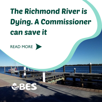 The Richmond River Is Dying. A Commissioner Is the Only Way to Save It.