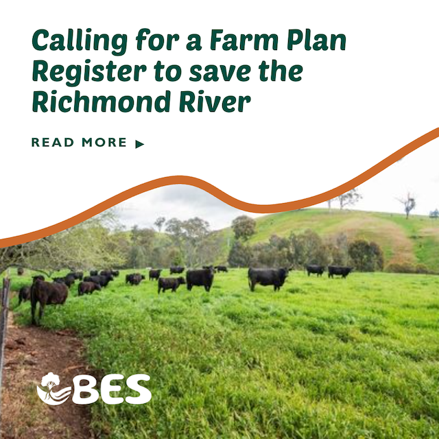 A Practical Plan to Save the Richmond River: BES Calls for a Farm Plan Register