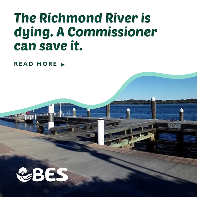The Richmond River Is Dying. A Commissioner Is the Only Way to Save It.
