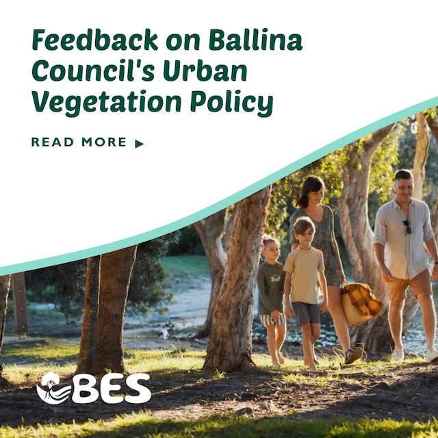 Growing a Greener Future: BES Feedback on the Ballina Council Urban Vegetation Policy