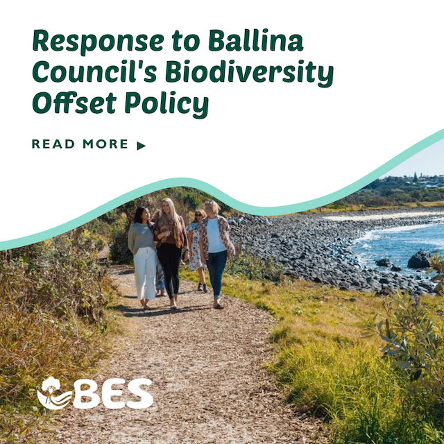 Protecting Our Backyard: BES Response to Ballina Council’s Biodiversity Offset Policy