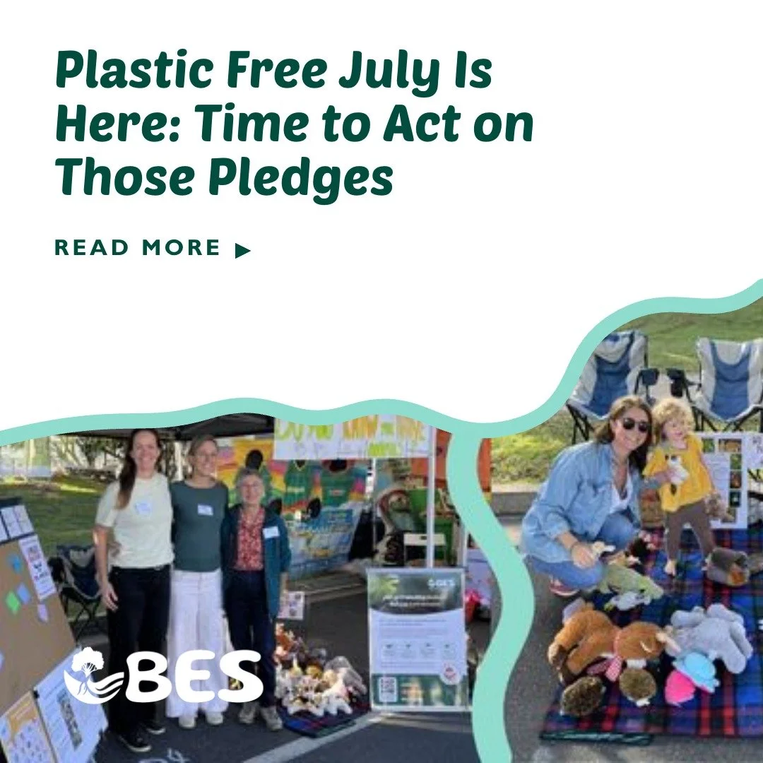 Plastic Free July Is Here: Time to Act on Those Love Lennox Pledges