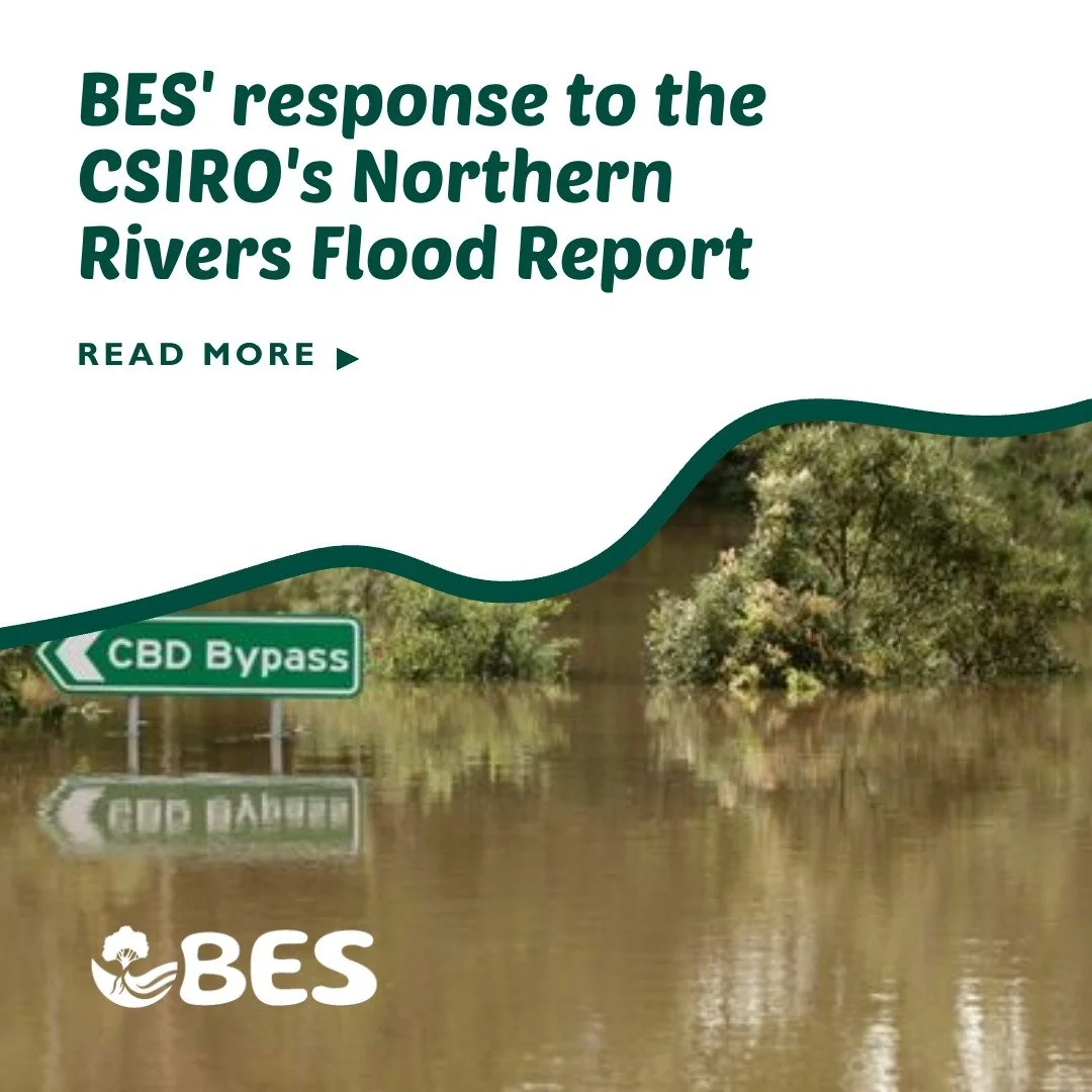 CSIRO's Northern Rivers Flood Report: Strong Science, But Some Big Questions Remain