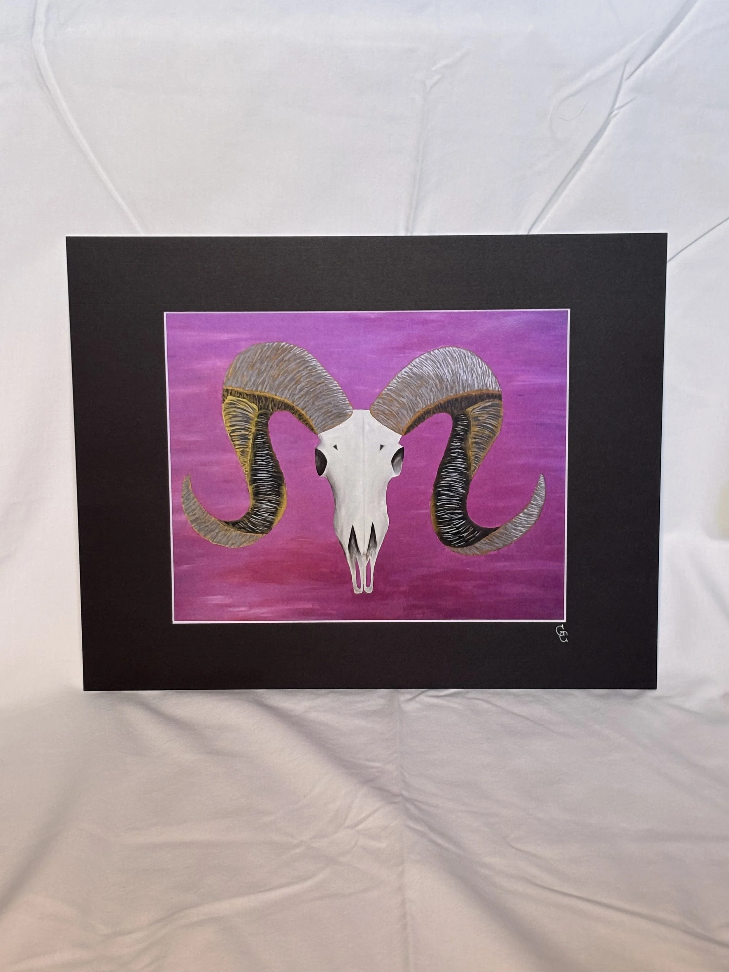 Art print of a ram's skull on a pink background with a black mat border