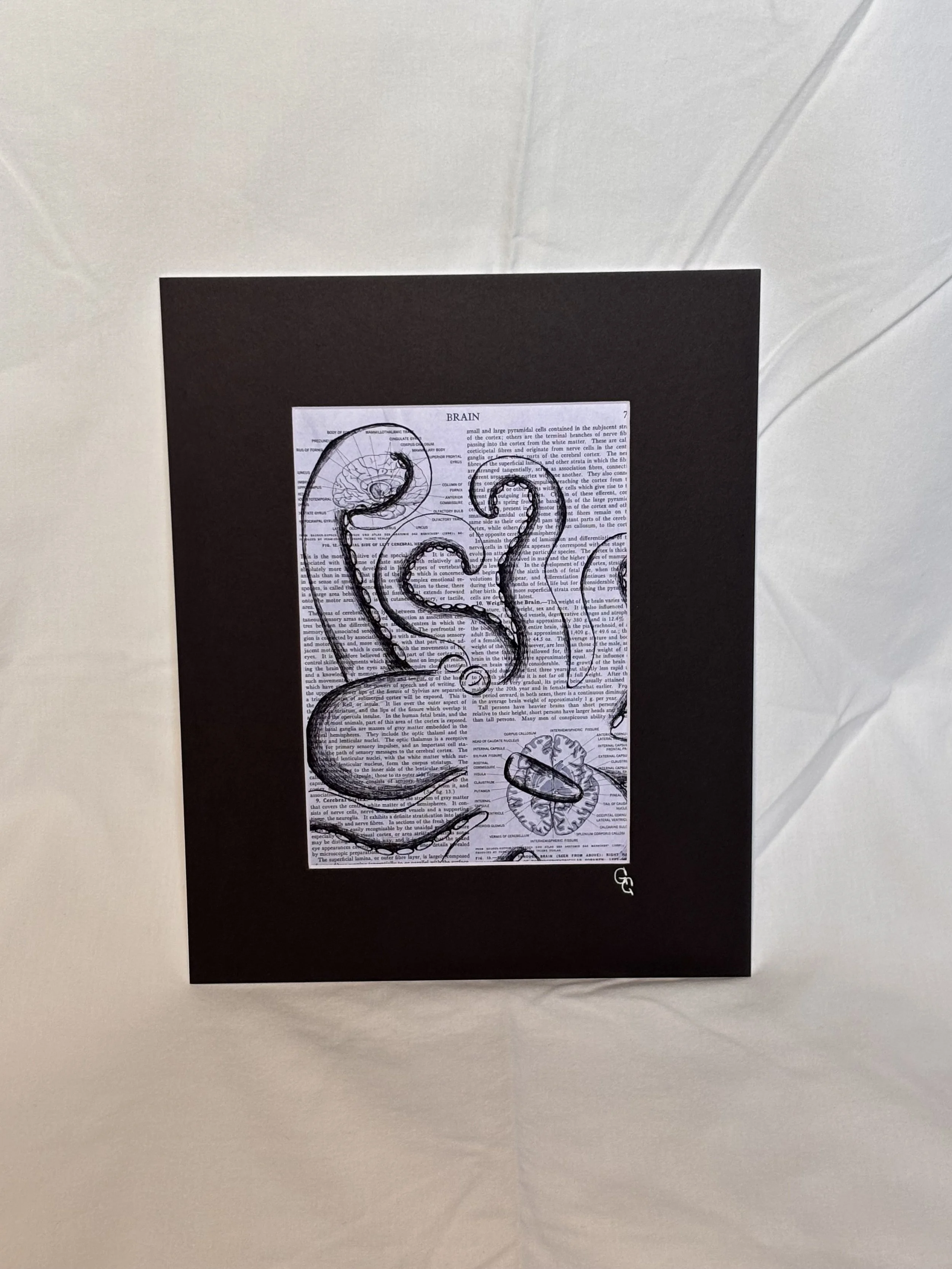 ink drawing on book page of an octopus wrapping its tentacles around images of the human brain art print, ocean theme art, nautical art